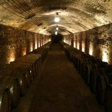 View & Wine Bed & Breakfast *