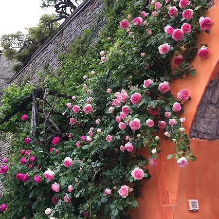 View & Wine Bed & Breakfast Canelli
